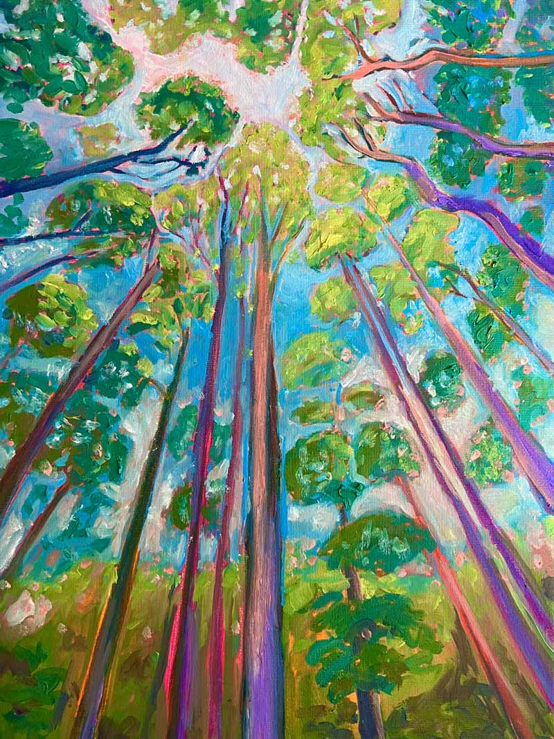 canopy shy