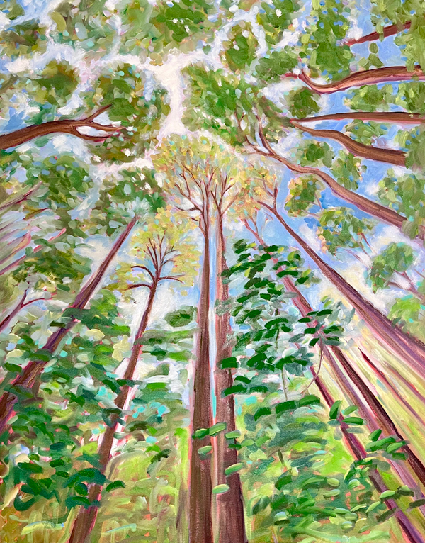 canopy